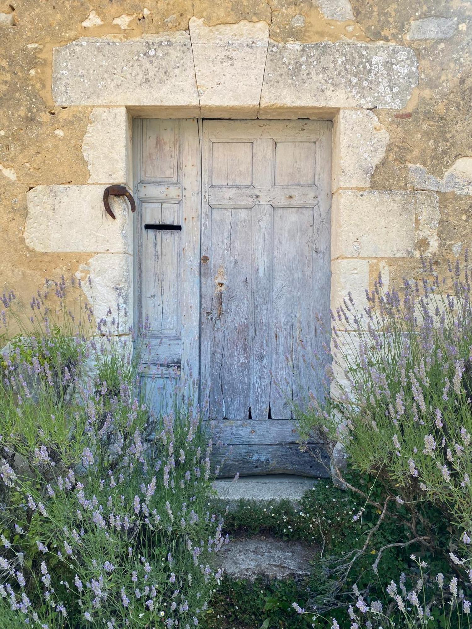 Le Manoir Du Plessis Hotell Dance  Exteriör bild