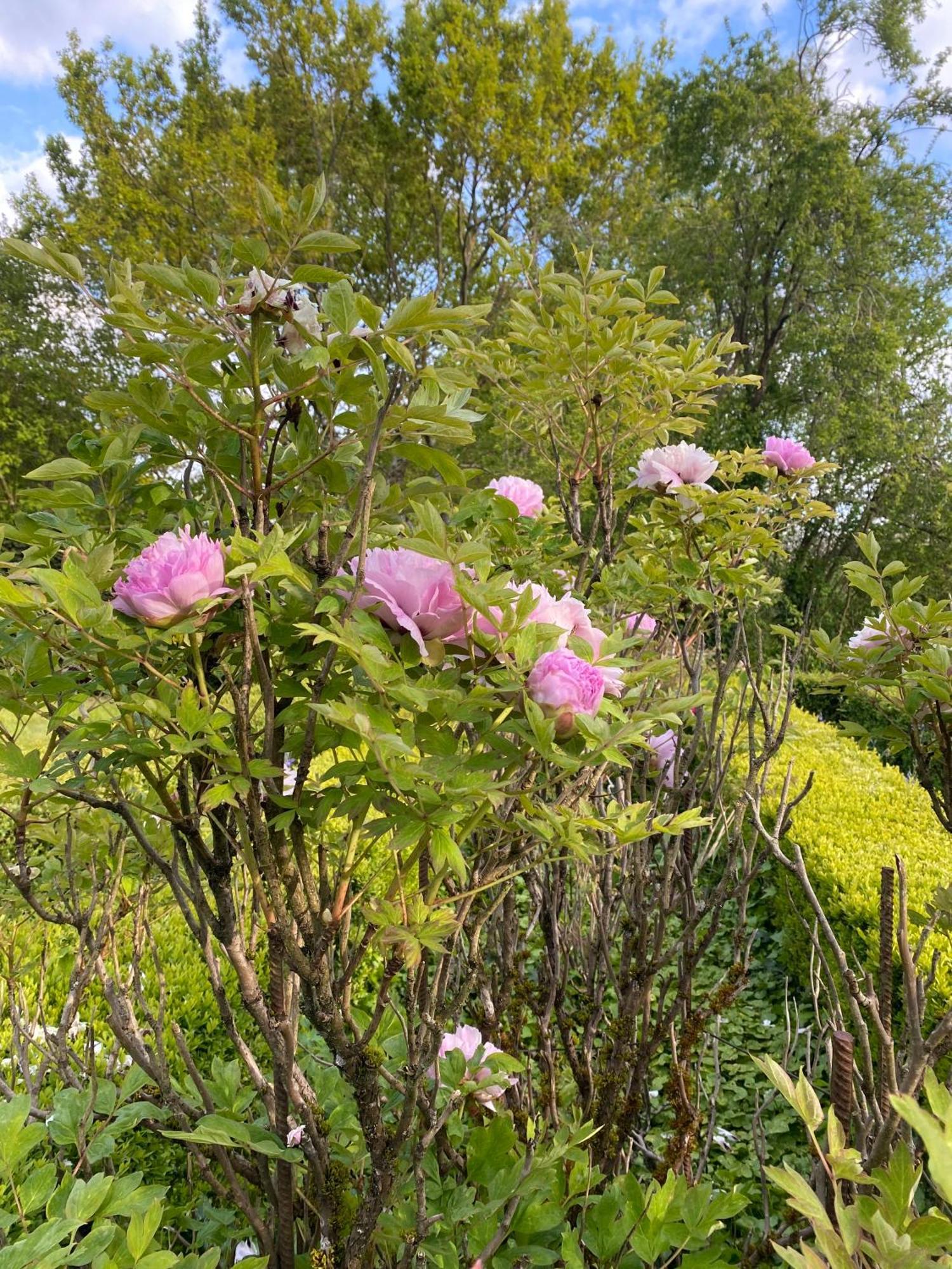 Le Manoir Du Plessis Hotell Dance  Exteriör bild