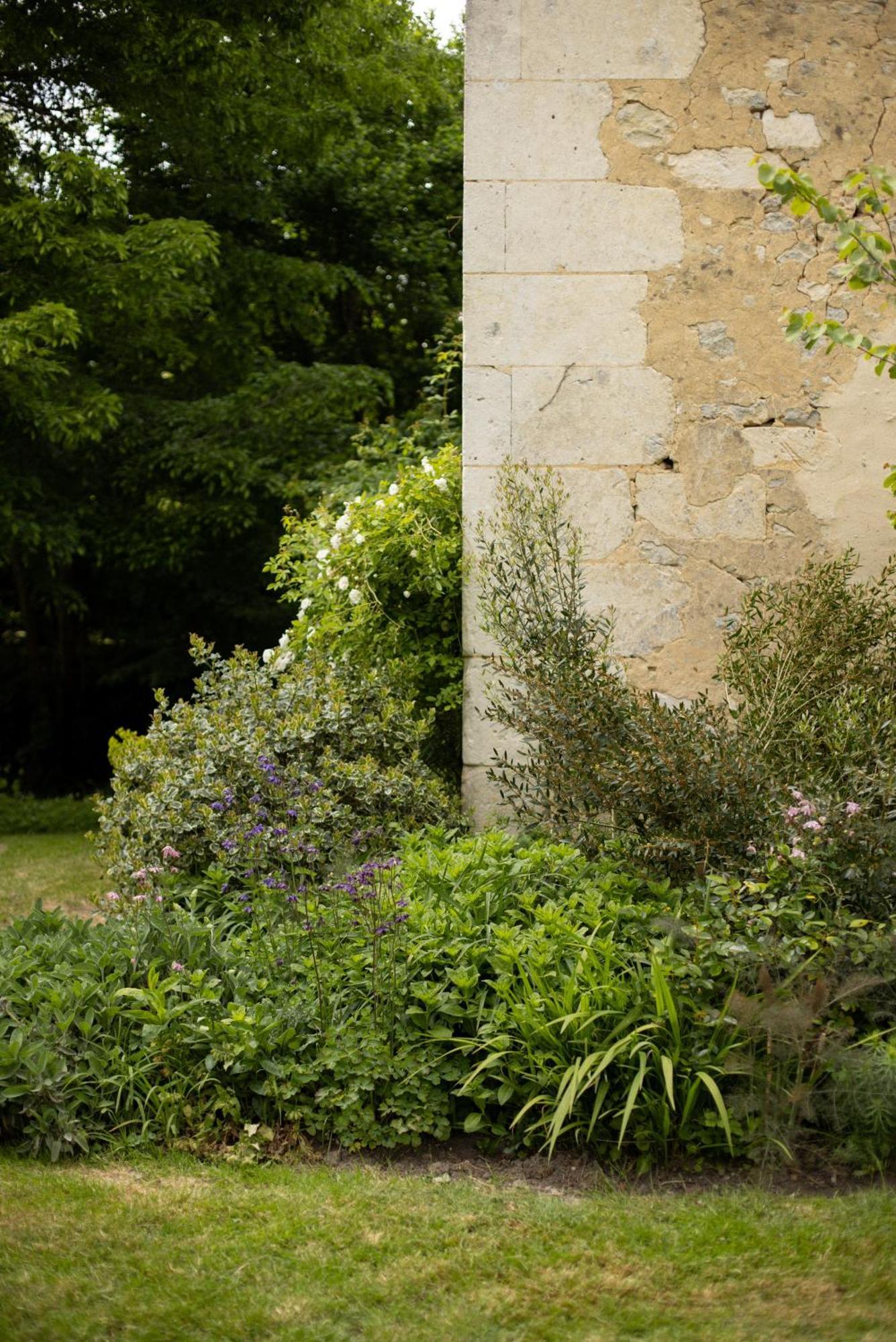 Le Manoir Du Plessis Hotell Dance  Exteriör bild