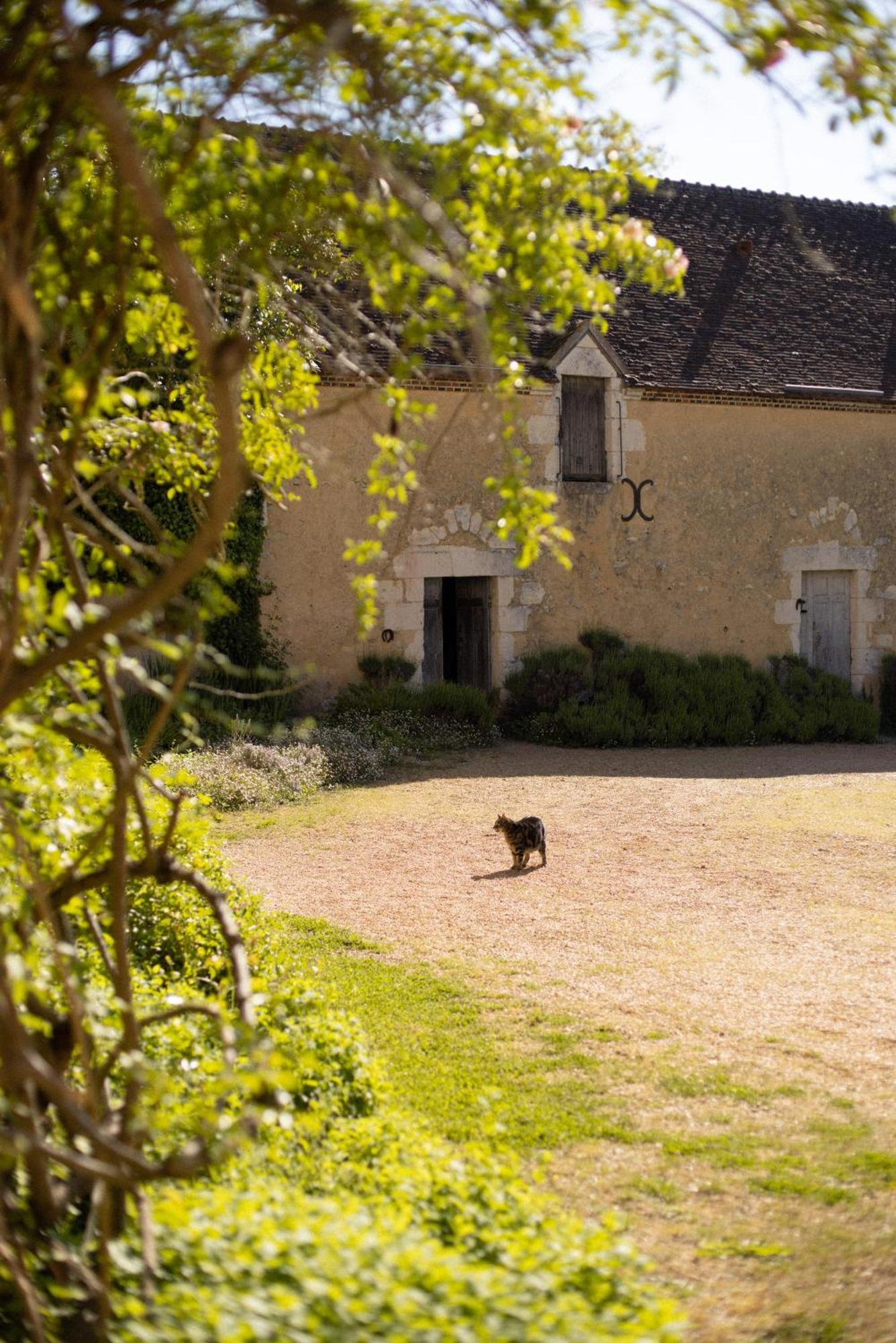 Le Manoir Du Plessis Hotell Dance  Exteriör bild