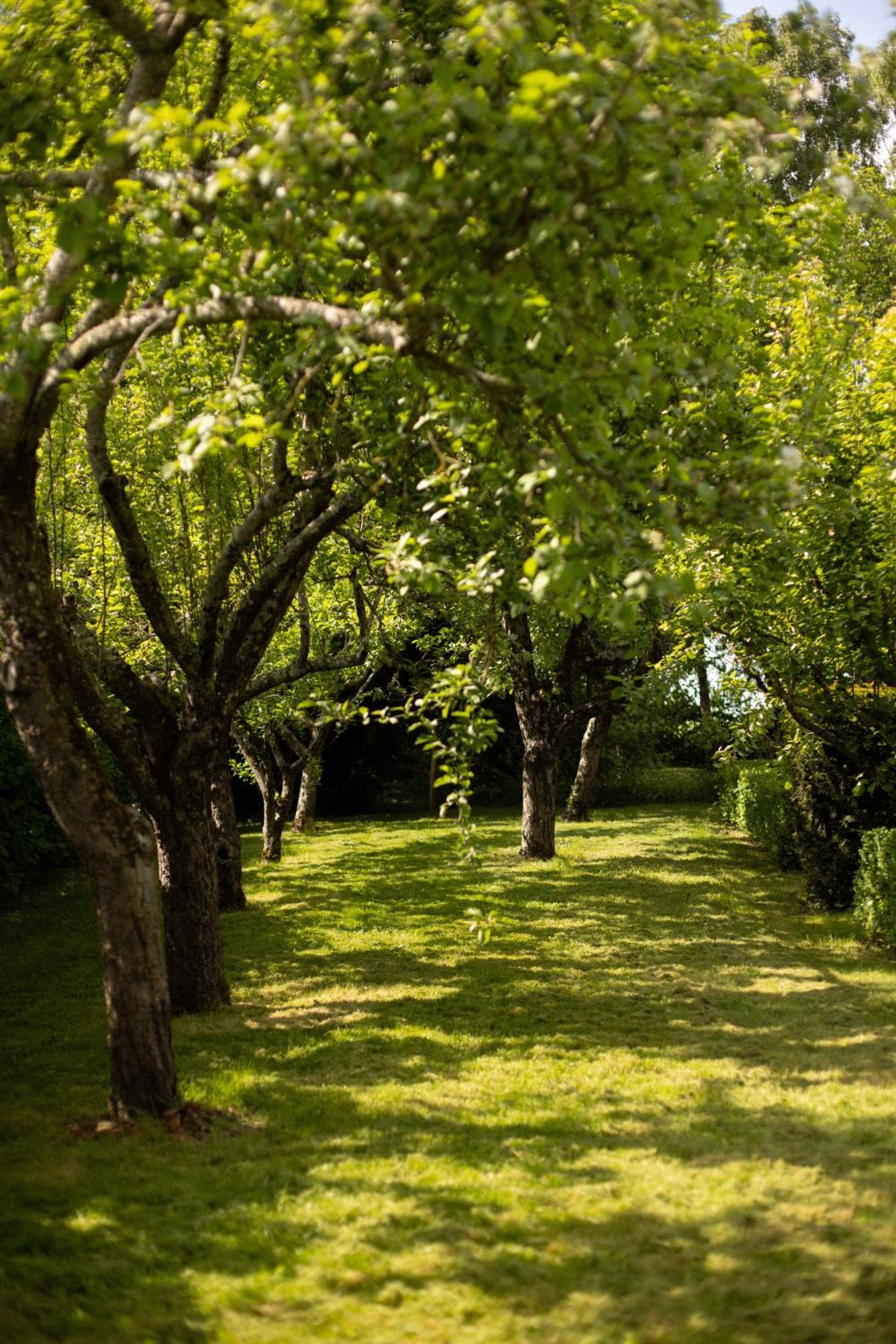 Le Manoir Du Plessis Hotell Dance  Exteriör bild